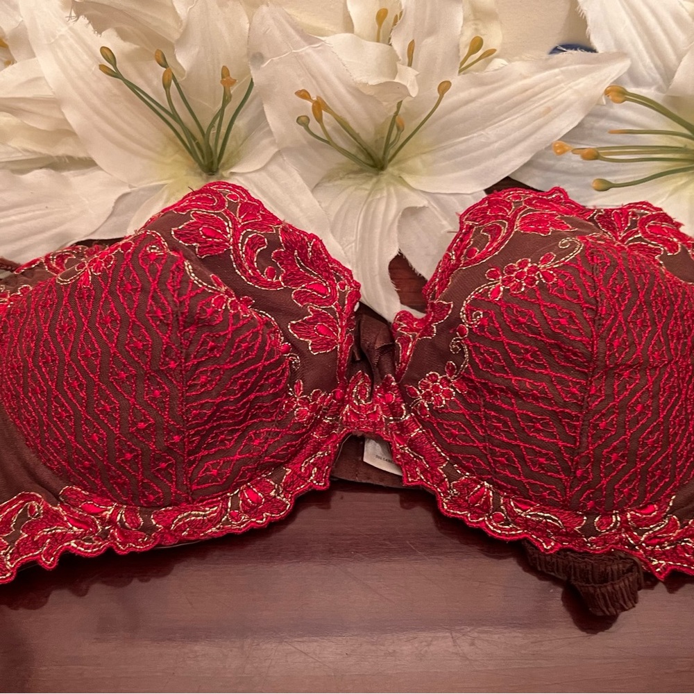 Victoria Secret Red and Brown padded bra size 34C.